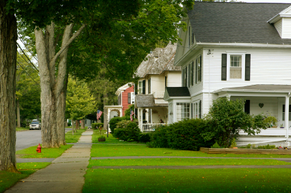 Image of trees and nice scenary in the Pinehurst, MA area.