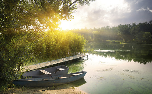 Image of lake and trees near Dental Care of Burlington.